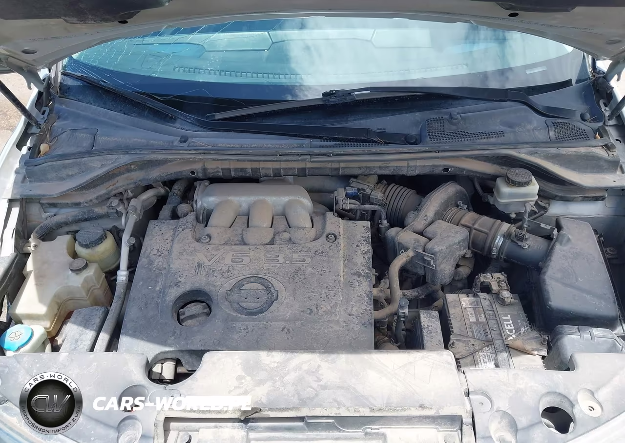 2006 Nissan Murano S VIN:JN8AZ08TX6W427821 - 10