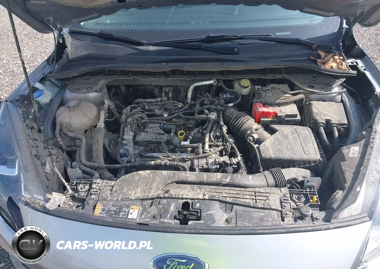 2021 Ford Escape Sel VIN:1FMCU0H68MUB18320 - 10