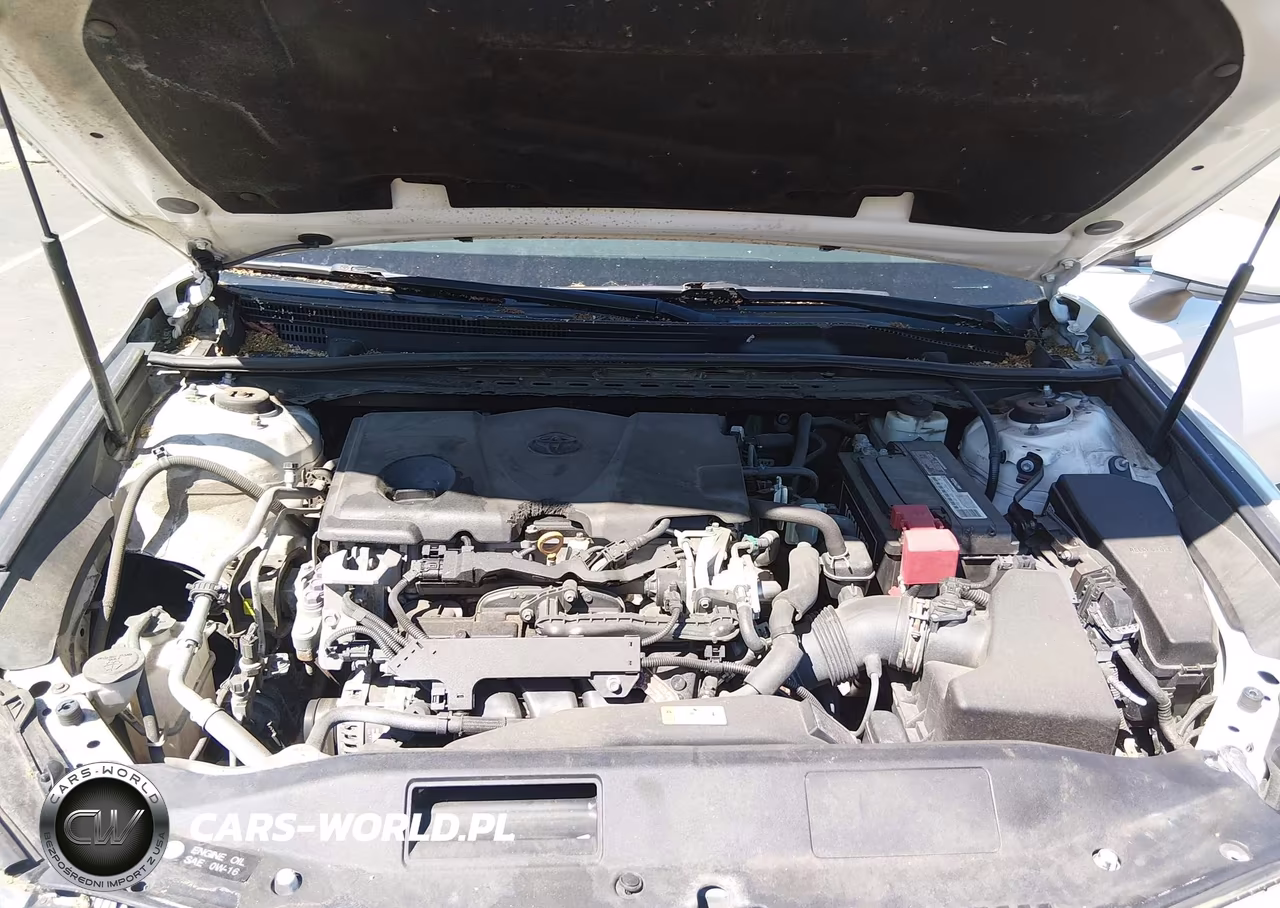 2018 Toyota Camry Se VIN:4T1B11HK1JU554249 - 10