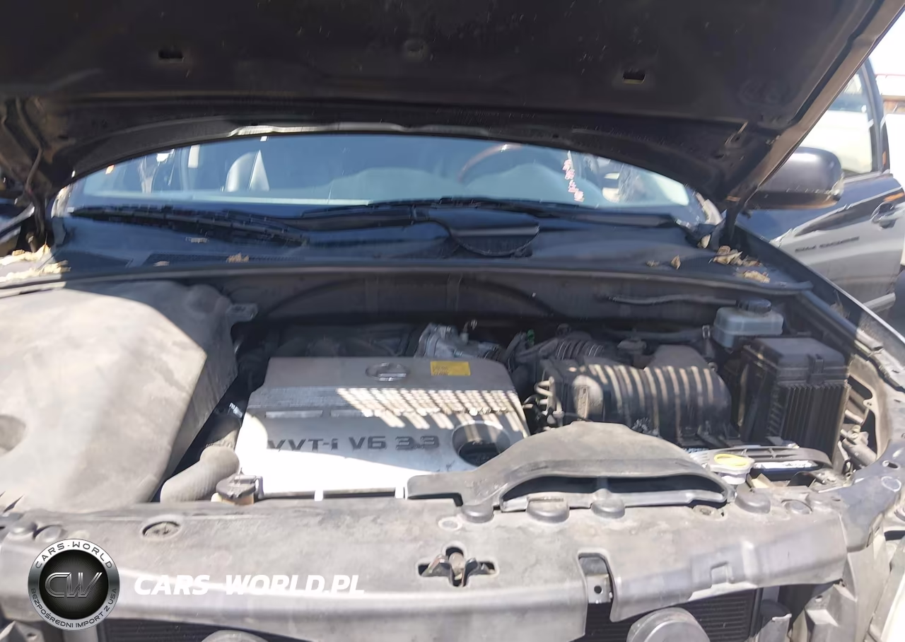 2005 Lexus Rx 330 VIN:JTJHA31U450080961 - 10