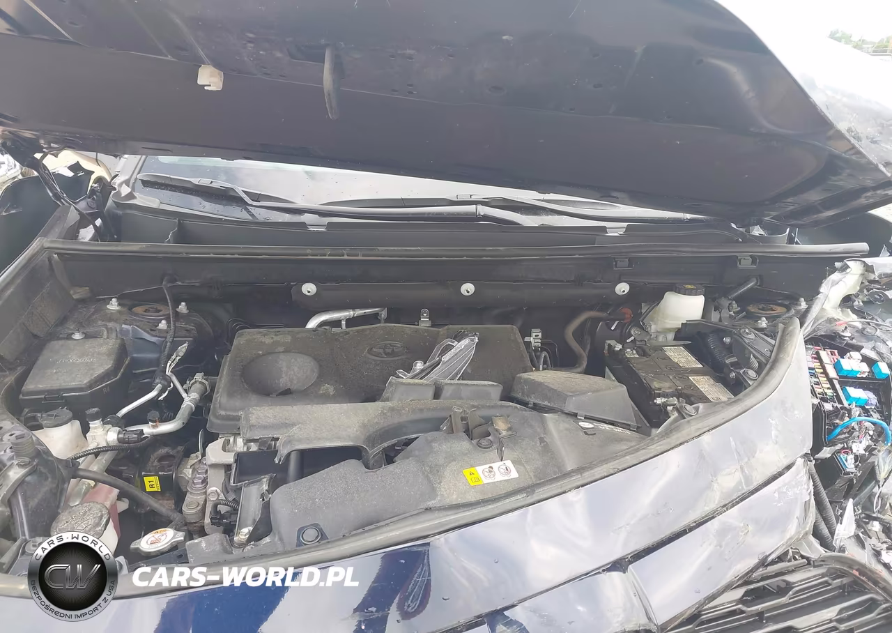 2024 Toyota Rav4 Xle VIN:2T3P1RFV8RW429494 - 10