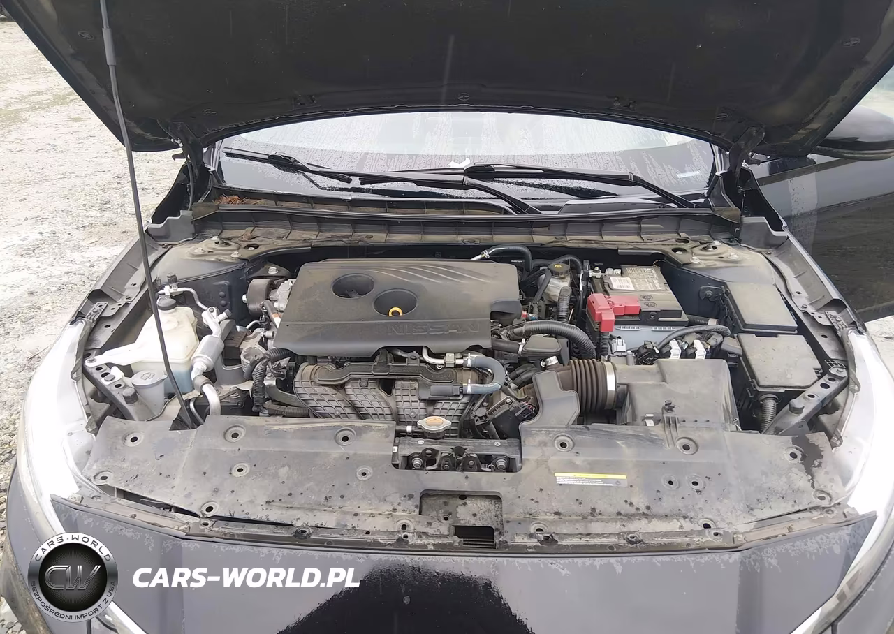 2019 Nissan Altima 2.5 Sl VIN:1N4BL4EV2KC183162 - 10