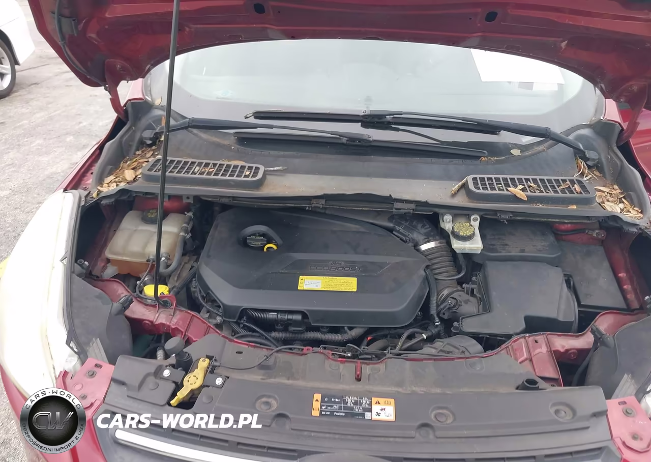 2014 Ford Escape Se VIN:1FMCU0GX9EUC49428 - 10