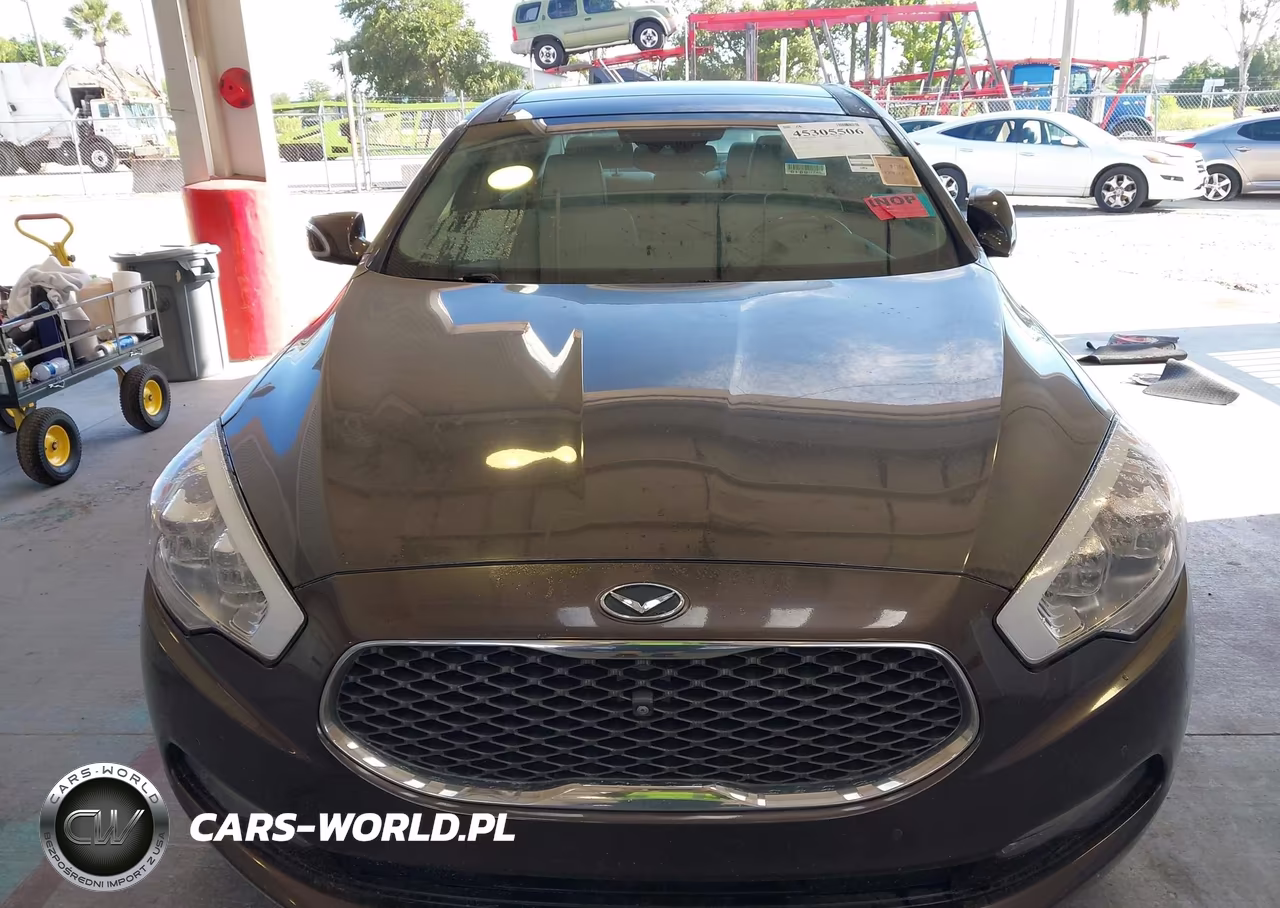 2015 Kia K900 Luxury VIN:KNALW4D45F6022367 - 12