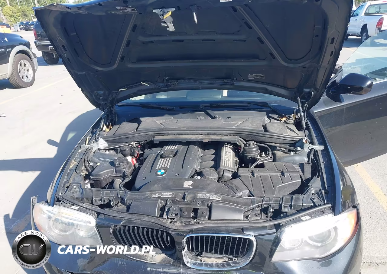 2013 BMW 128I VIN:WBAUN1C56DVR01363 - 10