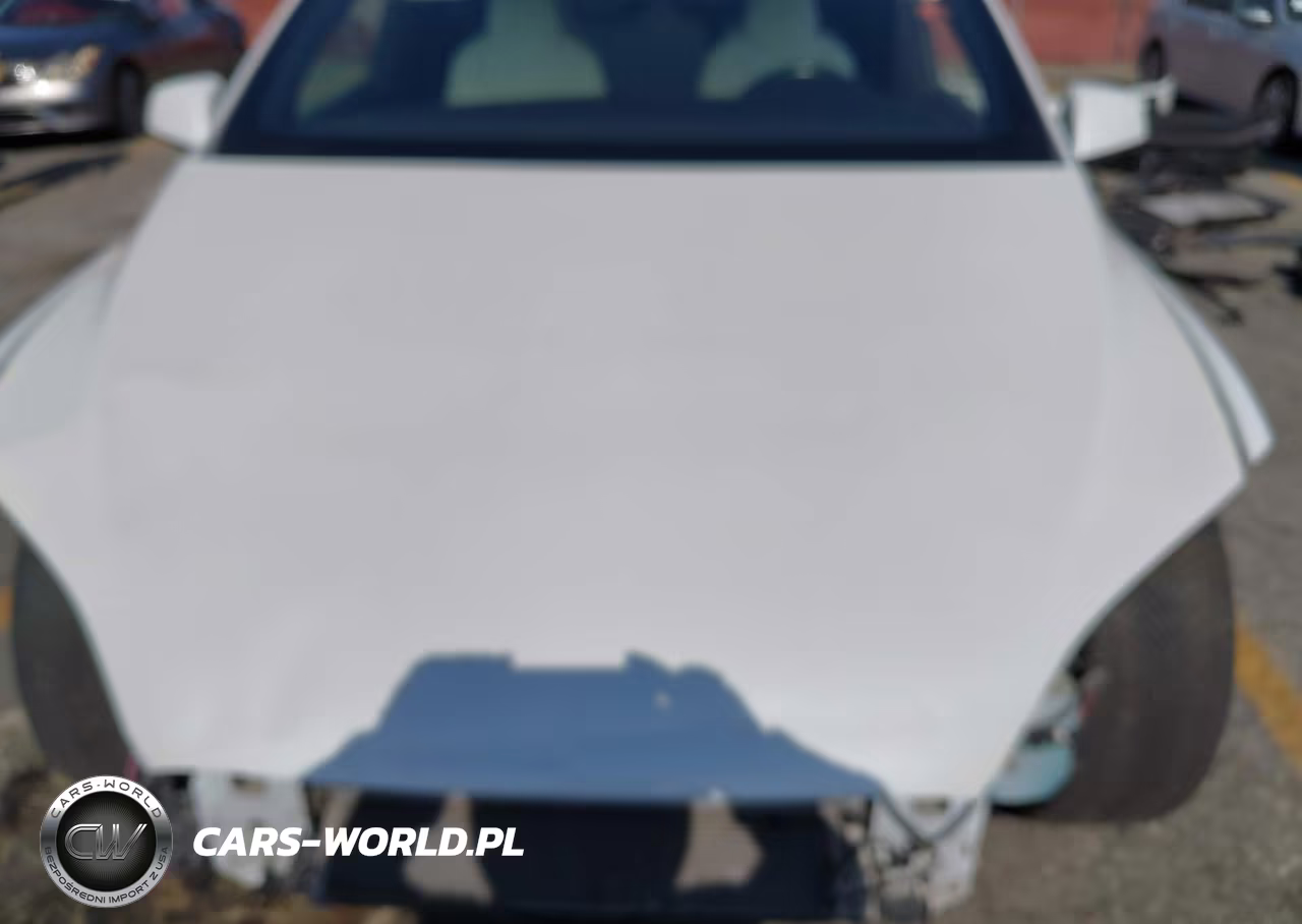 2017 Tesla Model X 100D-75D-90D VIN:5YJXCDE20HF055679 - 10