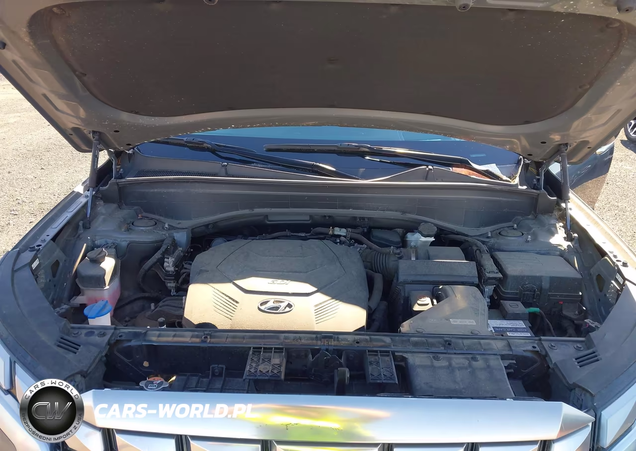 2024 Hyundai Palisade Calligraphy VIN:KM8R7DGE3RU660403 - 10