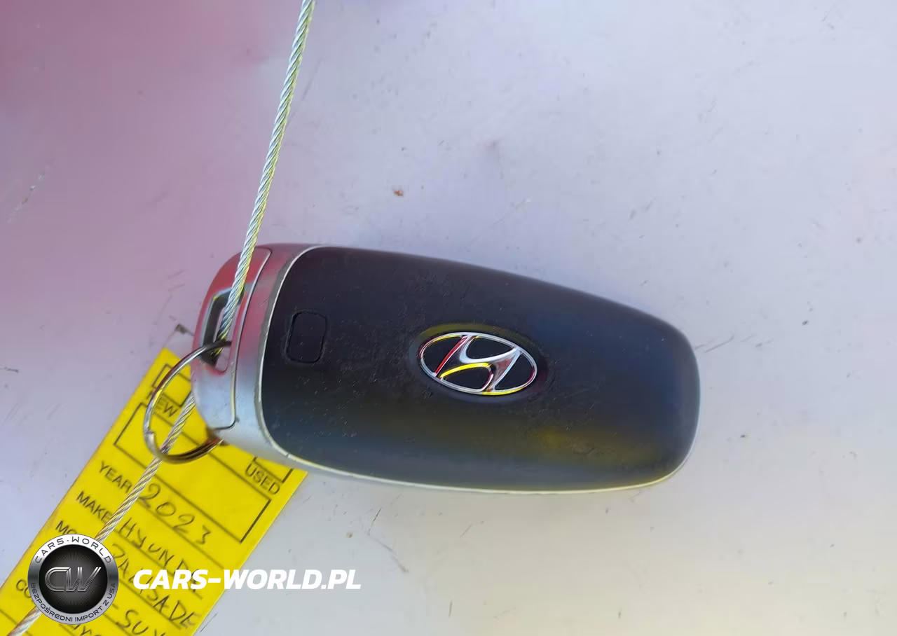 2024 Hyundai Palisade Calligraphy VIN:KM8R7DGE3RU660403 - 11