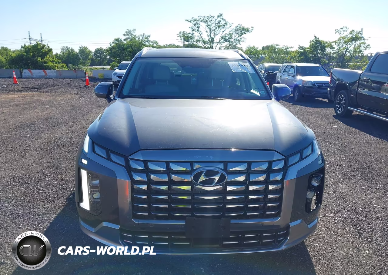 2024 Hyundai Palisade Calligraphy VIN:KM8R7DGE3RU660403 - 12