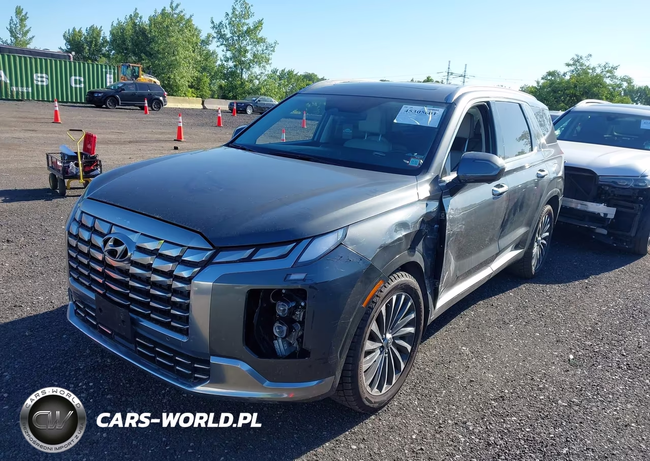 2024 Hyundai Palisade Calligraphy VIN:KM8R7DGE3RU660403 - 6