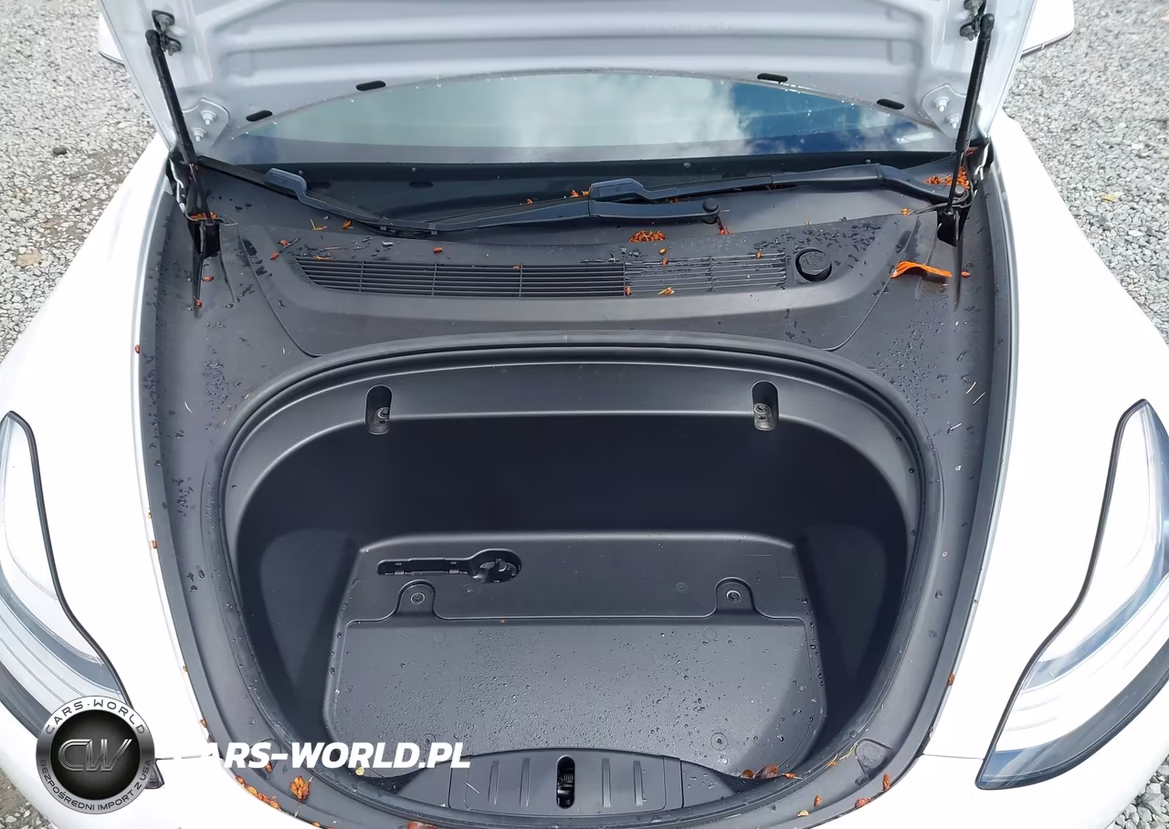 2020 Tesla Model 3 Standard Range Plus Rear-Wheel Drive-Standard Range Rear-Wheel Drive VIN:5YJ3E1EA8LF504842 - 10