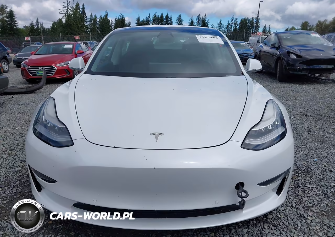 2020 Tesla Model 3 Standard Range Plus Rear-Wheel Drive-Standard Range Rear-Wheel Drive VIN:5YJ3E1EA8LF504842 - 13