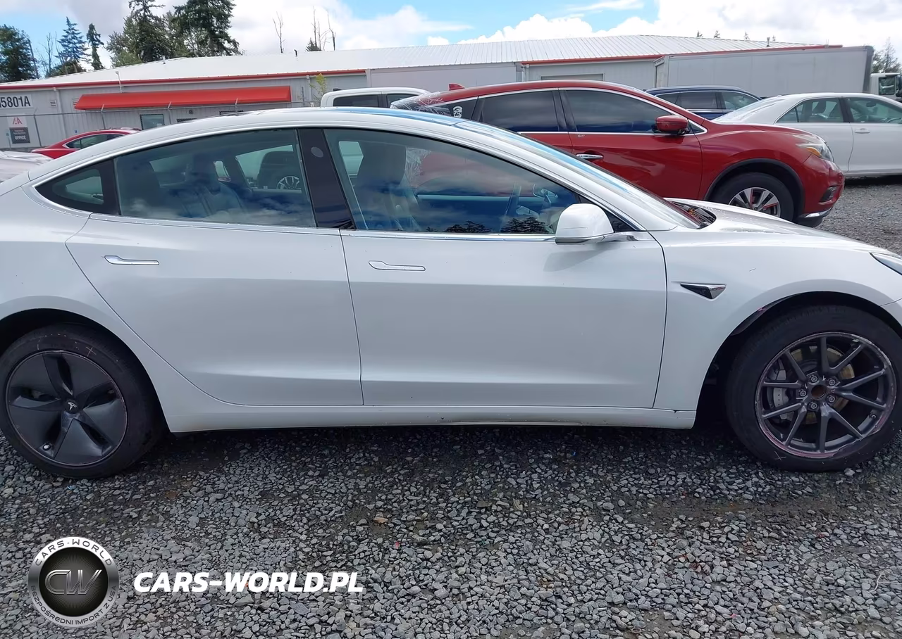 2020 Tesla Model 3 Standard Range Plus Rear-Wheel Drive-Standard Range Rear-Wheel Drive VIN:5YJ3E1EA8LF504842 - 14