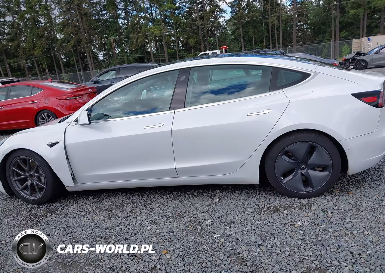 2020 Tesla Model 3 Standard Range Plus Rear-Wheel Drive-Standard Range Rear-Wheel Drive VIN:5YJ3E1EA8LF504842 - 15