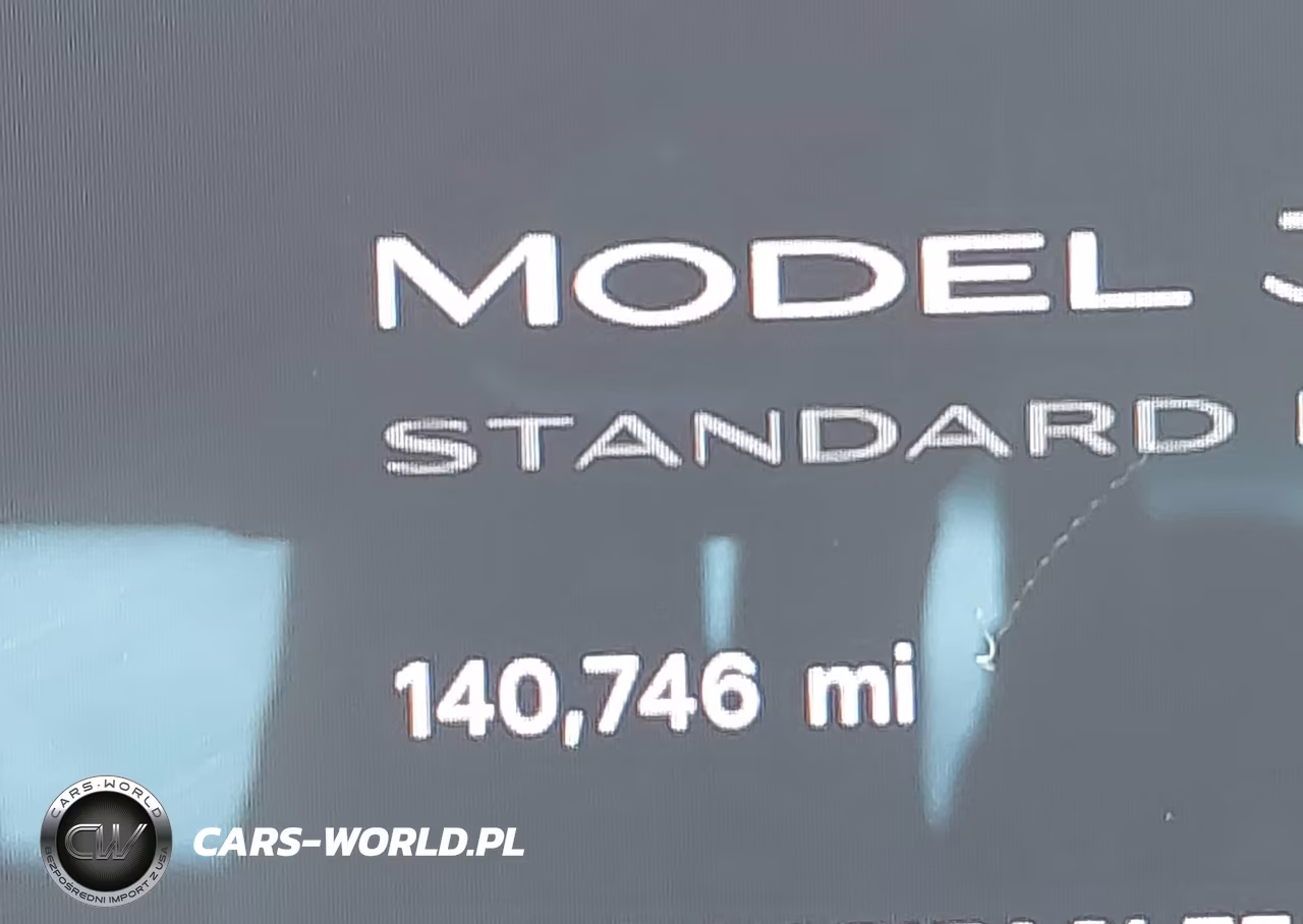 2020 Tesla Model 3 Standard Range Plus Rear-Wheel Drive-Standard Range Rear-Wheel Drive VIN:5YJ3E1EA8LF504842 - 16