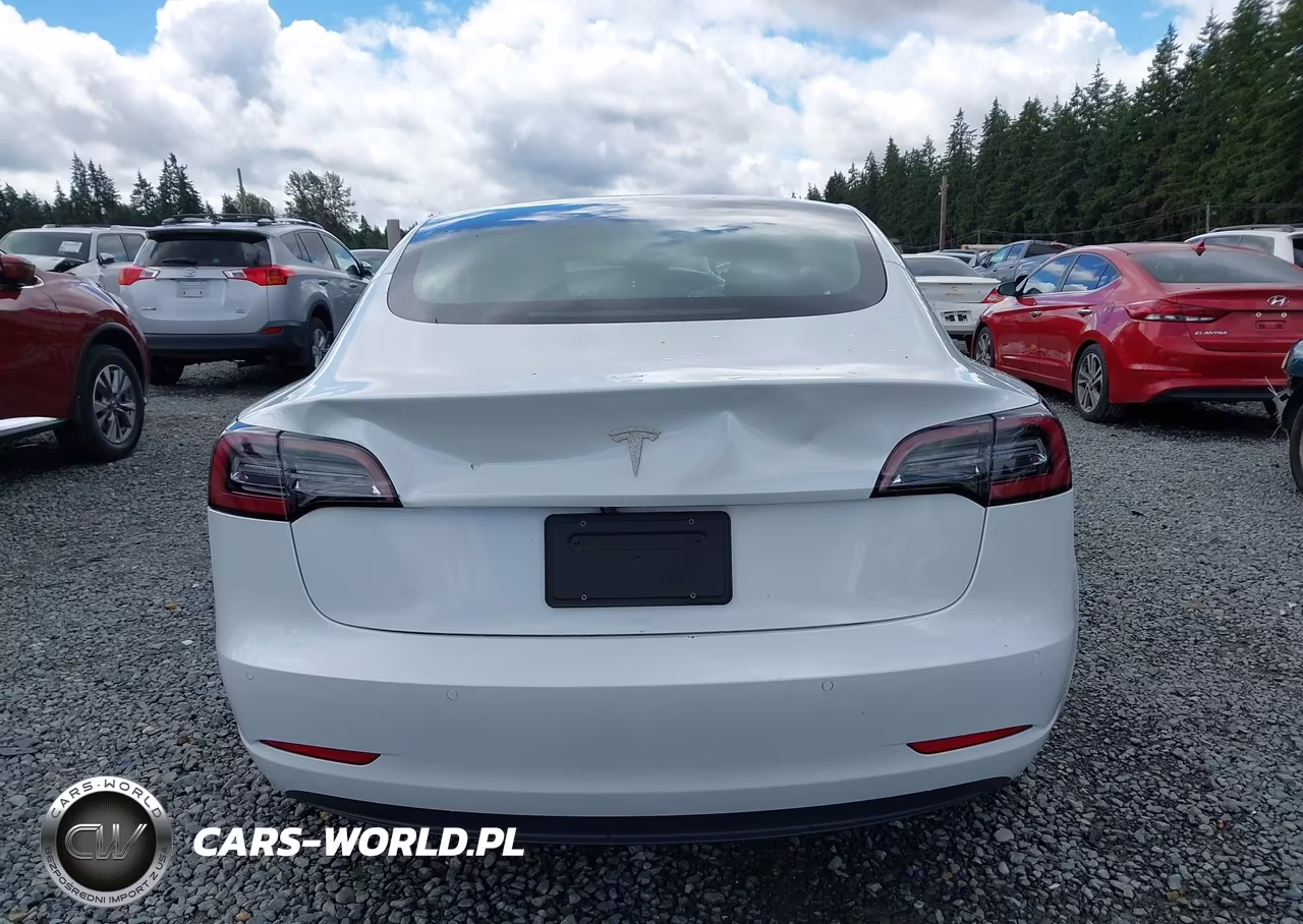 2020 Tesla Model 3 Standard Range Plus Rear-Wheel Drive-Standard Range Rear-Wheel Drive VIN:5YJ3E1EA8LF504842 - 17