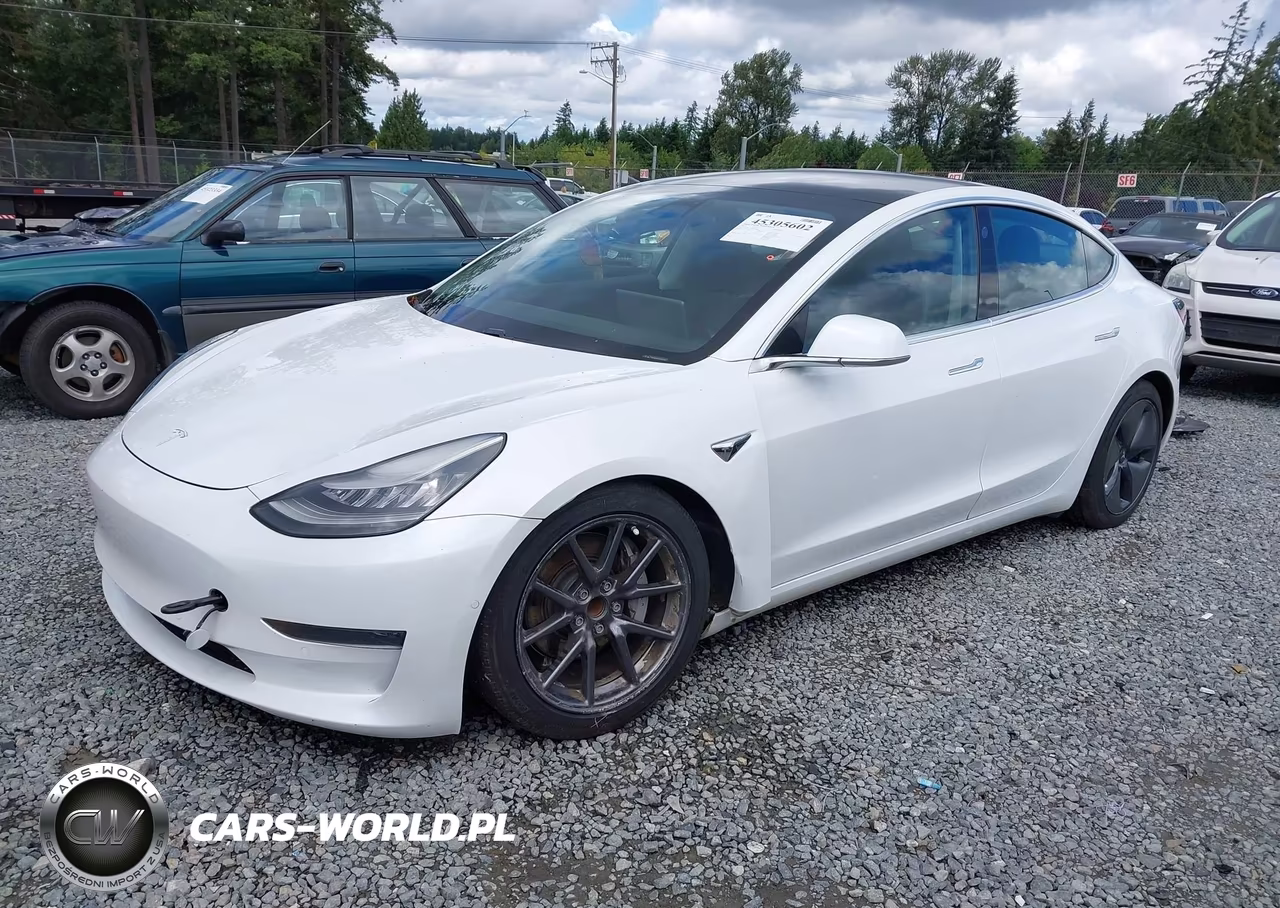 2020 Tesla Model 3 Standard Range Plus Rear-Wheel Drive-Standard Range Rear-Wheel Drive VIN:5YJ3E1EA8LF504842 - 2