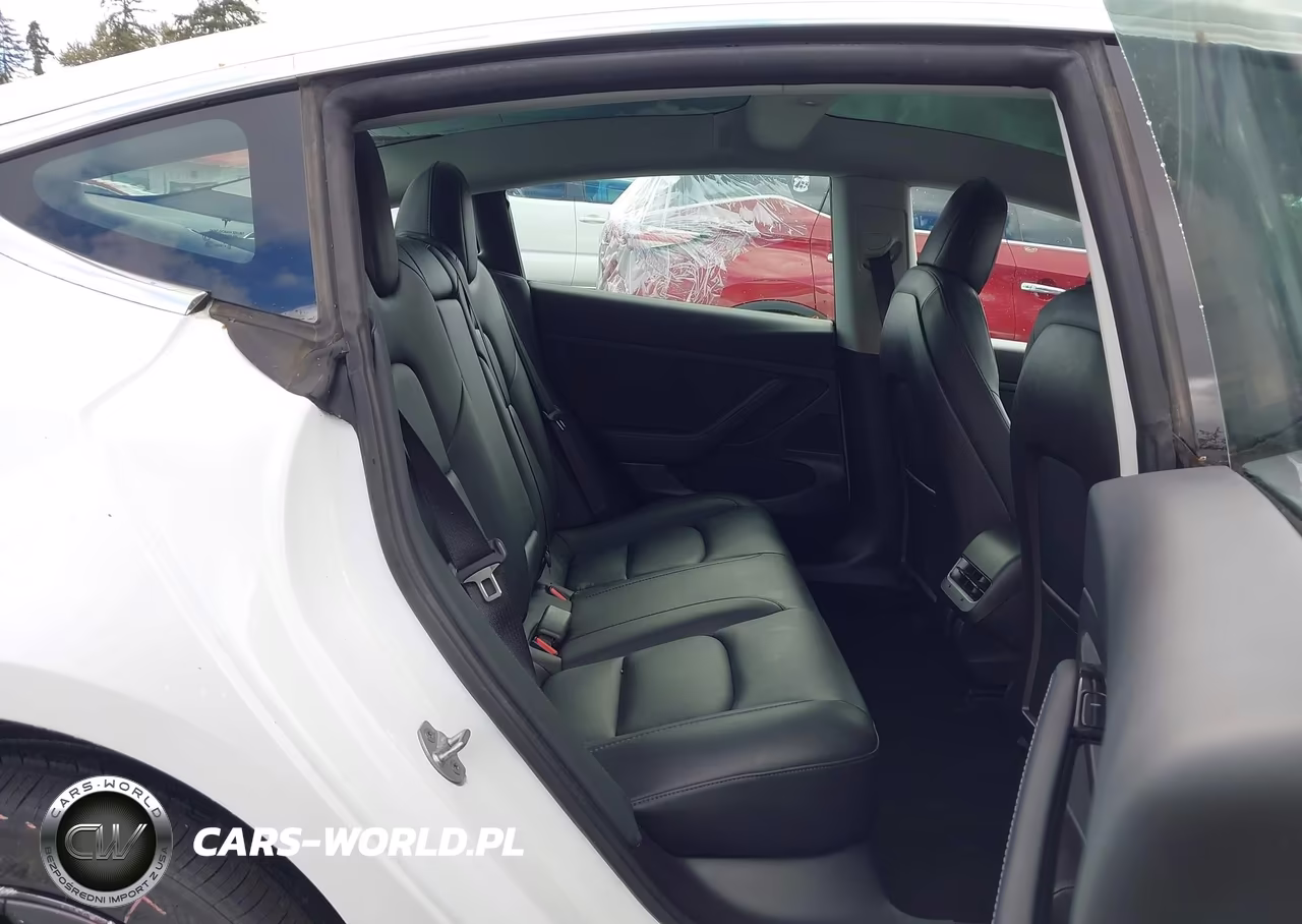 2020 Tesla Model 3 Standard Range Plus Rear-Wheel Drive-Standard Range Rear-Wheel Drive VIN:5YJ3E1EA8LF504842 - 21