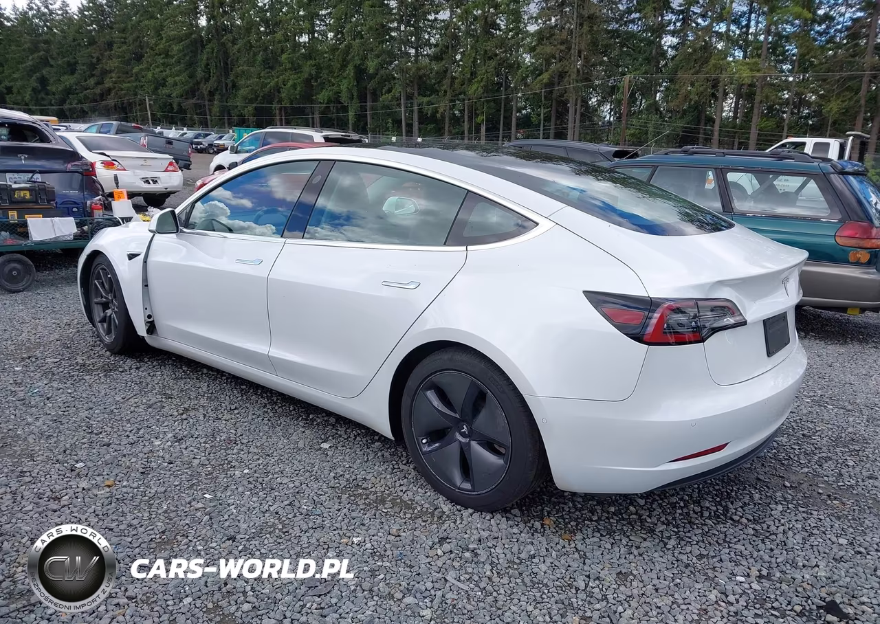 2020 Tesla Model 3 Standard Range Plus Rear-Wheel Drive-Standard Range Rear-Wheel Drive VIN:5YJ3E1EA8LF504842 - 3