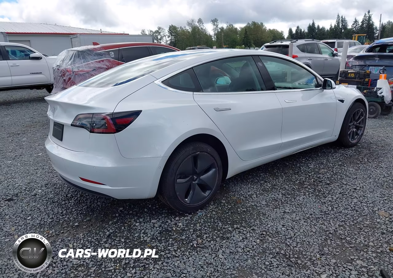 2020 Tesla Model 3 Standard Range Plus Rear-Wheel Drive-Standard Range Rear-Wheel Drive VIN:5YJ3E1EA8LF504842 - 4