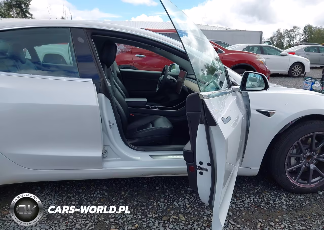 2020 Tesla Model 3 Standard Range Plus Rear-Wheel Drive-Standard Range Rear-Wheel Drive VIN:5YJ3E1EA8LF504842 - 5