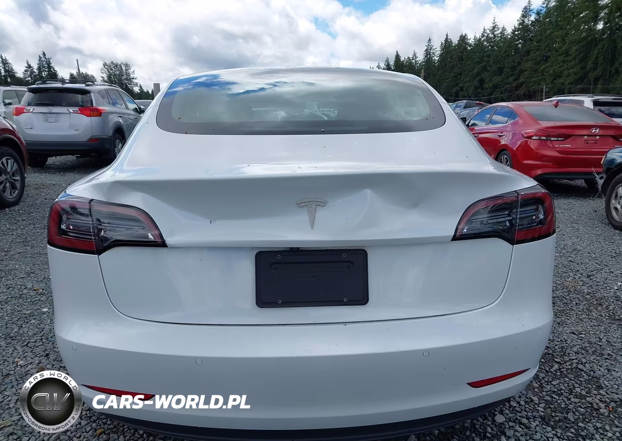 2020 Tesla Model 3 Standard Range Plus Rear-Wheel Drive-Standard Range Rear-Wheel Drive VIN:5YJ3E1EA8LF504842 - 6