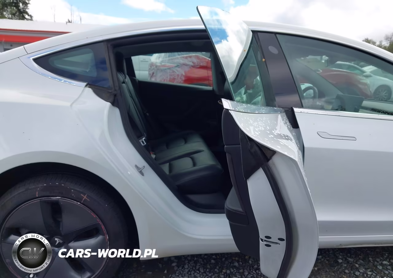 2020 Tesla Model 3 Standard Range Plus Rear-Wheel Drive-Standard Range Rear-Wheel Drive VIN:5YJ3E1EA8LF504842 - 8