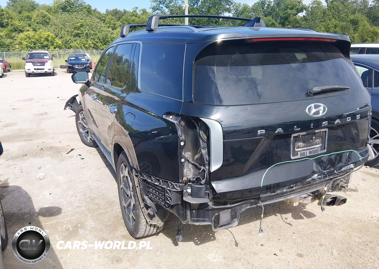 2022 Hyundai Palisade Calligraphy VIN:KM8R74HE3NU480153 - 3