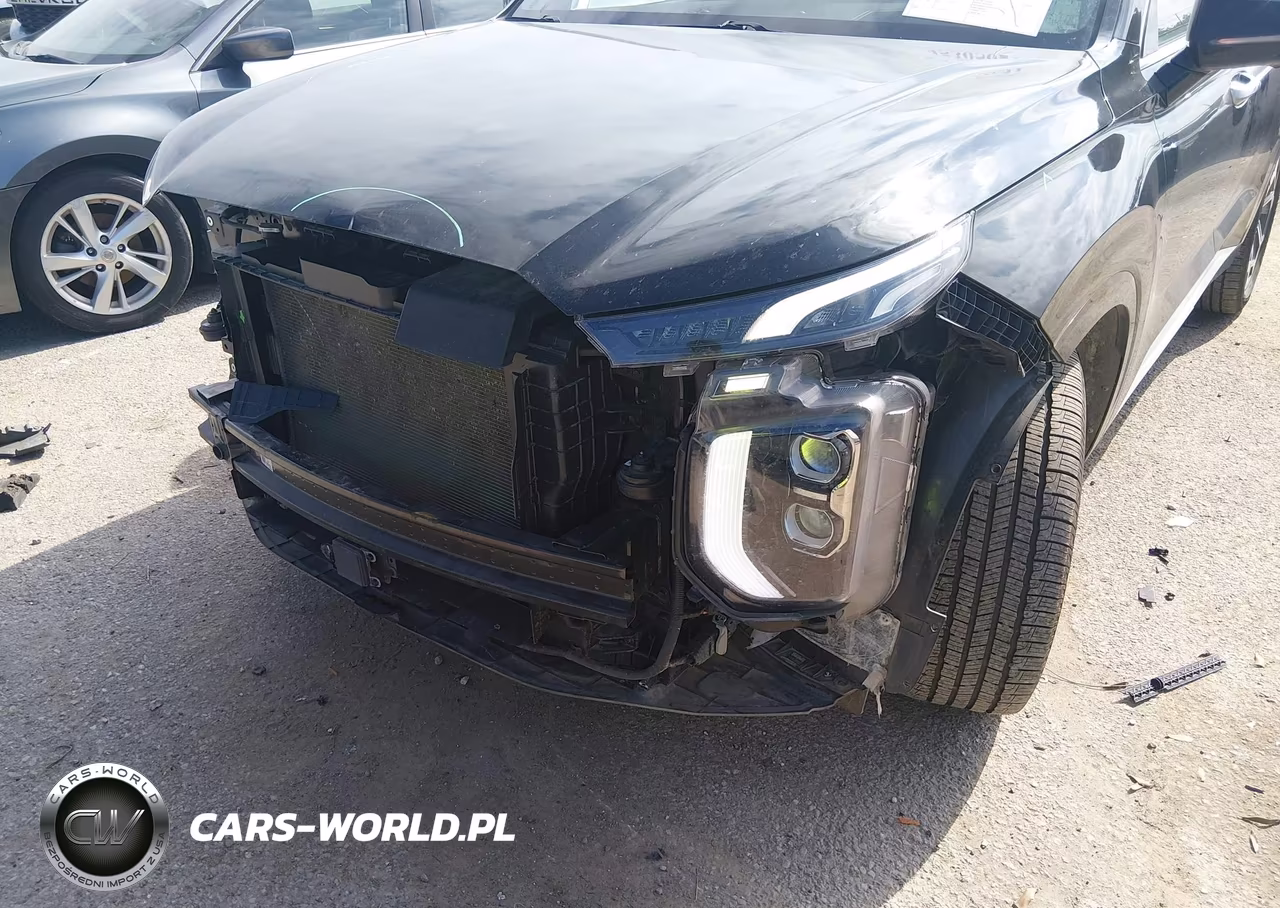 2022 Hyundai Palisade Calligraphy VIN:KM8R74HE3NU480153 - 6