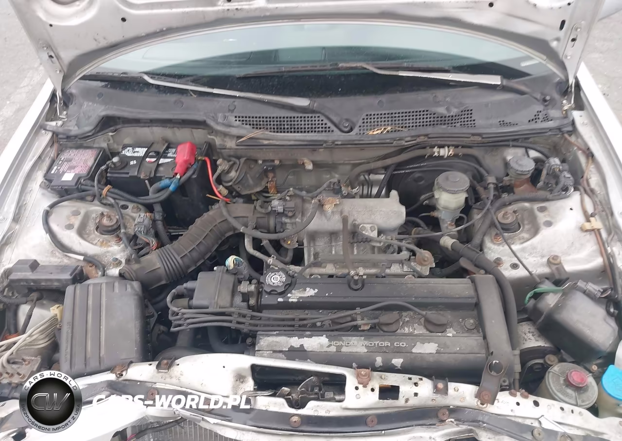 1998 Acura Integra Gs VIN:JH4DC4369WS018282 - 10