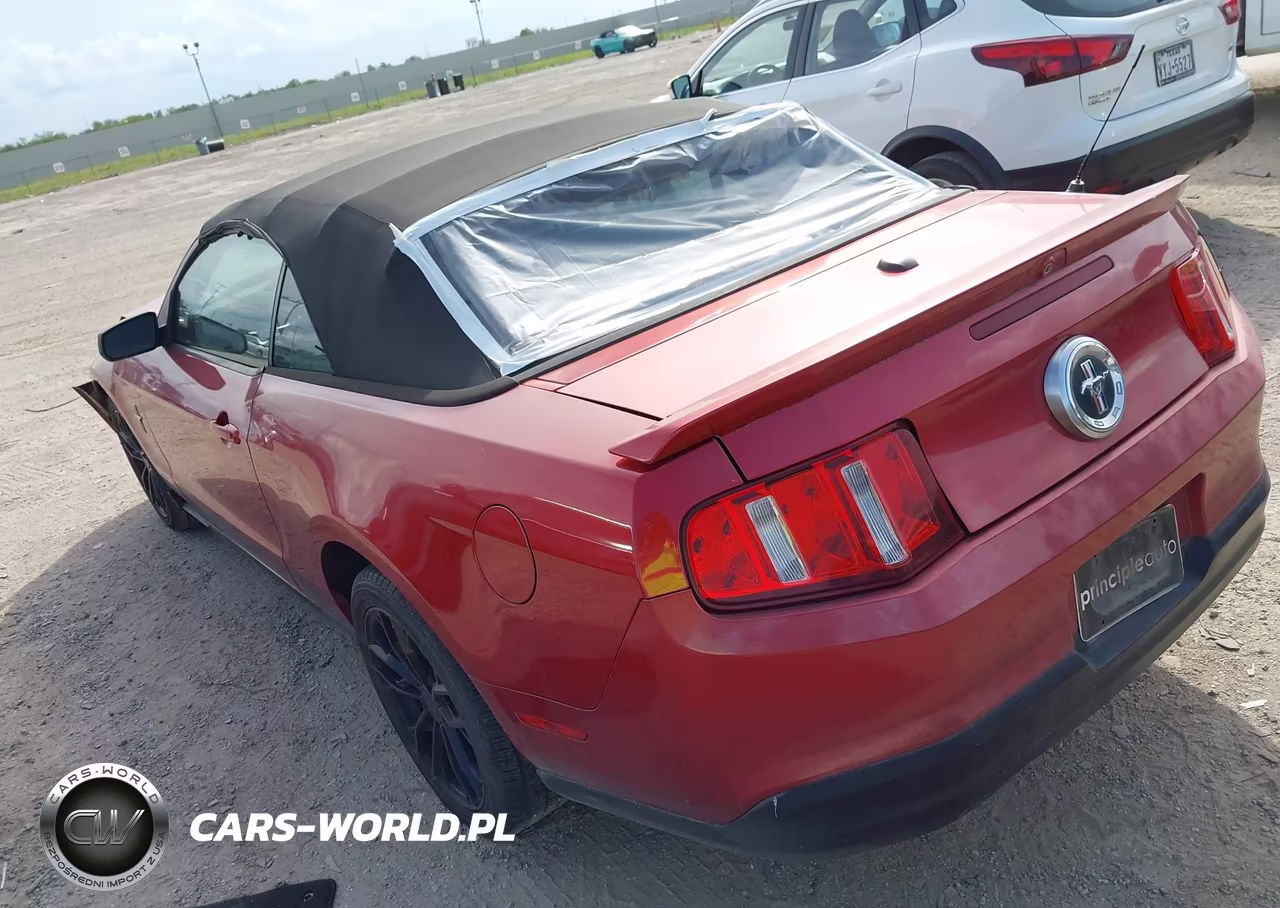 2010 Ford Mustang V6-V6 Premium VIN:1ZVBP8EN7A5159381 - 3