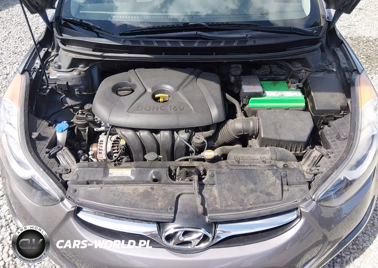 2012 Hyundai Elantra Gls VIN:5NPDH4AE5CH114210 - 10