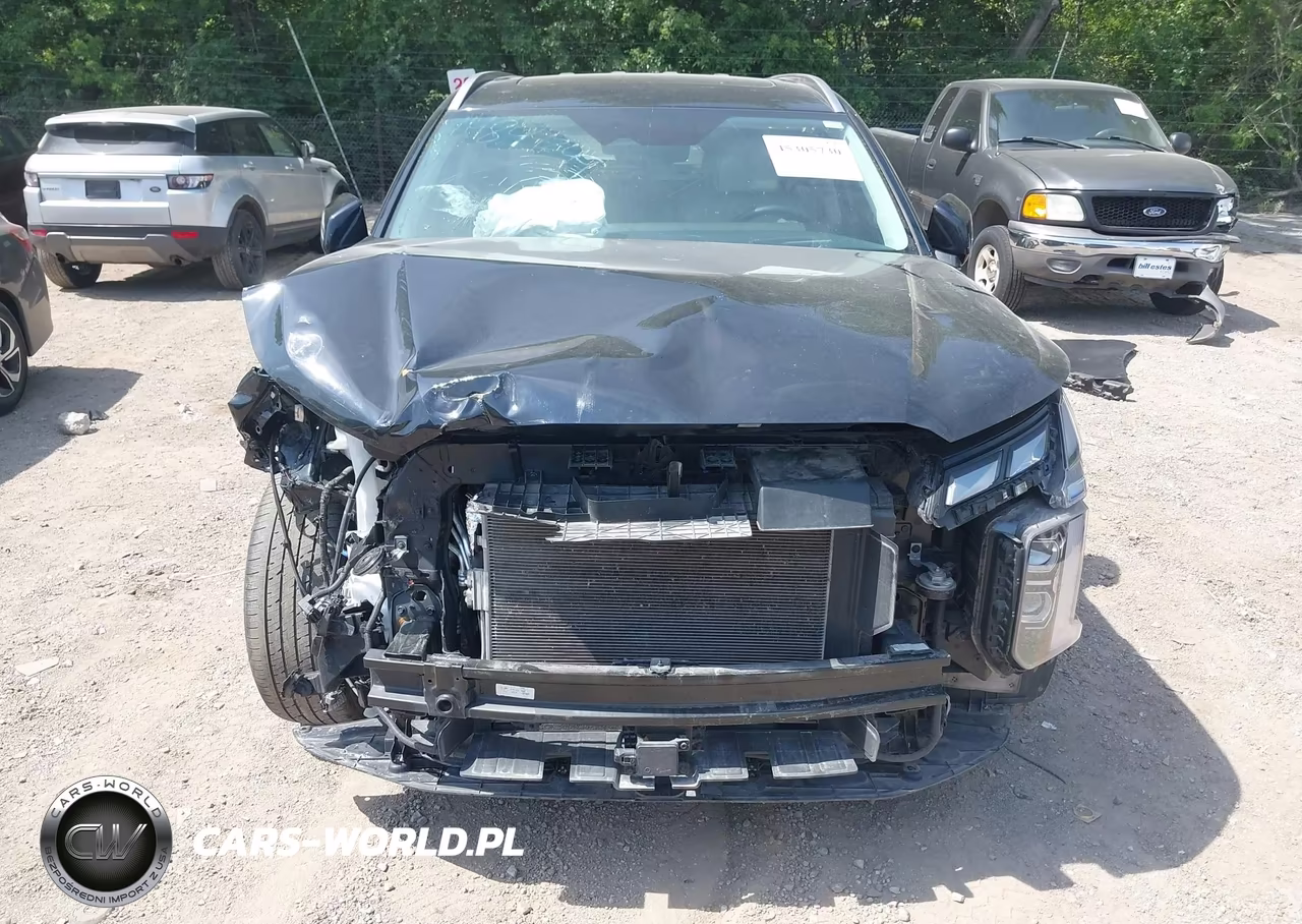 2023 Hyundai Palisade Ultimate Calligraphy VIN:KM8R5DGE0PU604115 - 11