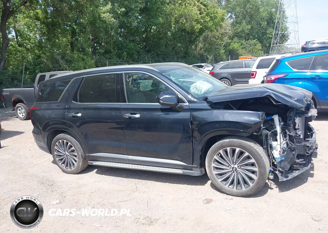 2023 Hyundai Palisade Ultimate Calligraphy VIN:KM8R5DGE0PU604115 - 12