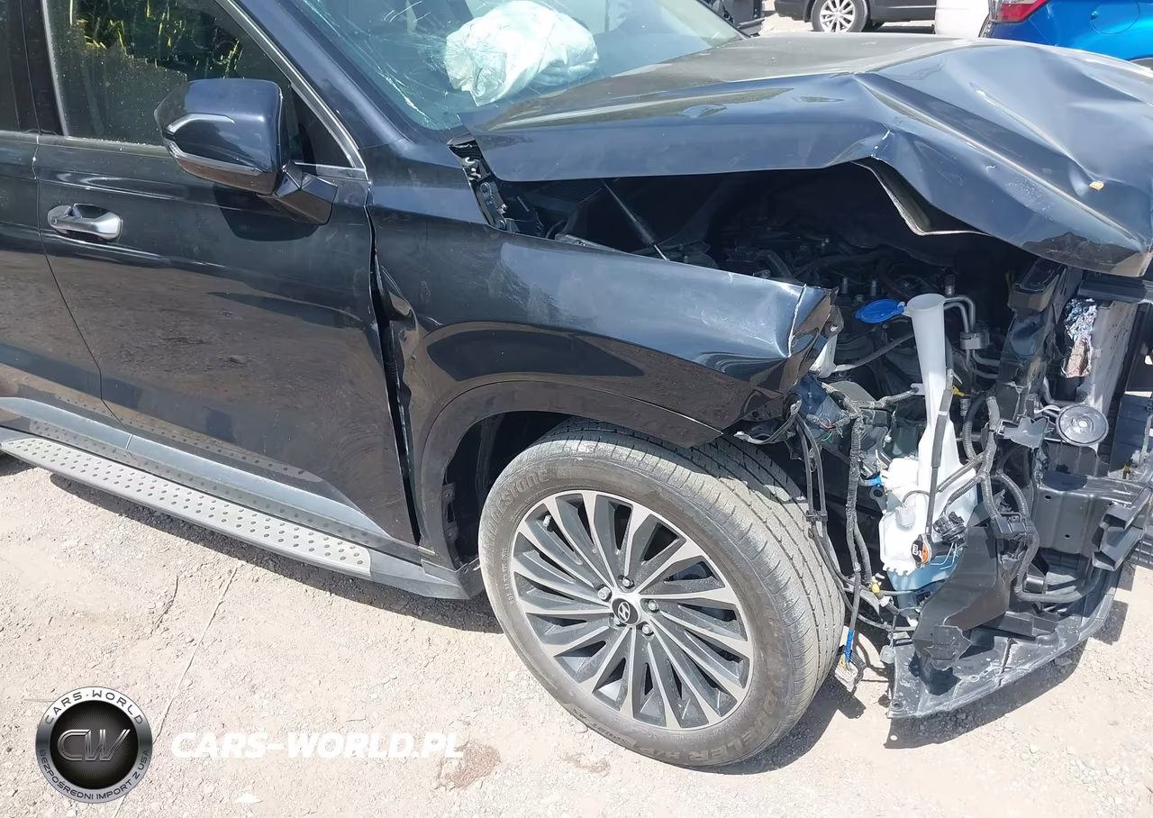 2023 Hyundai Palisade Ultimate Calligraphy VIN:KM8R5DGE0PU604115 - 16