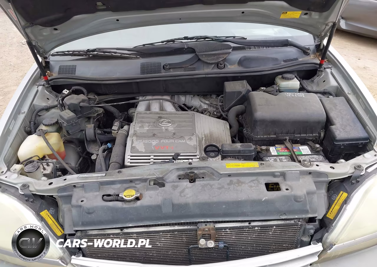 2003 Lexus Rx 300 VIN:JTJGF10U130150190 - 10