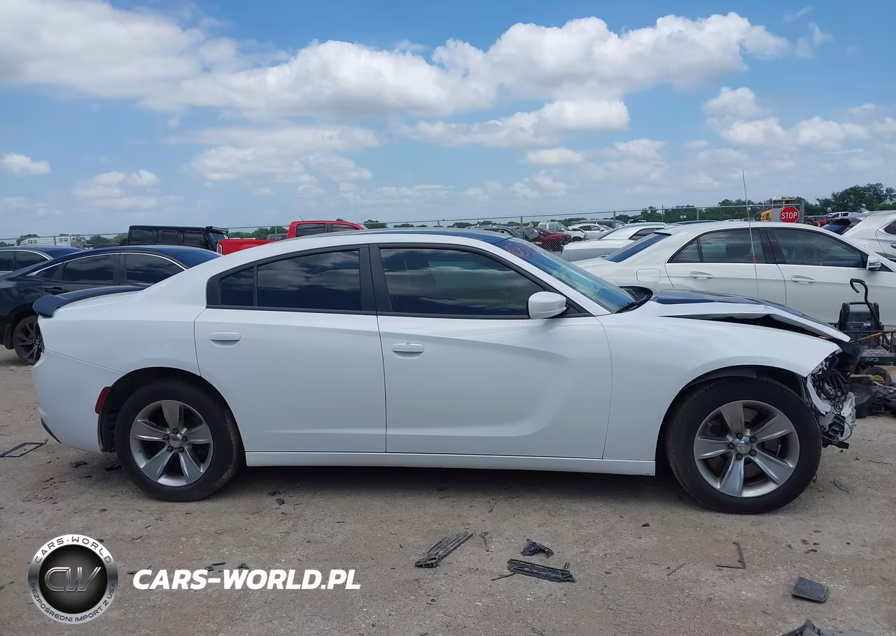 2020 Dodge Charger Police Rwd VIN:2C3CDXAG7LH111395 - 13