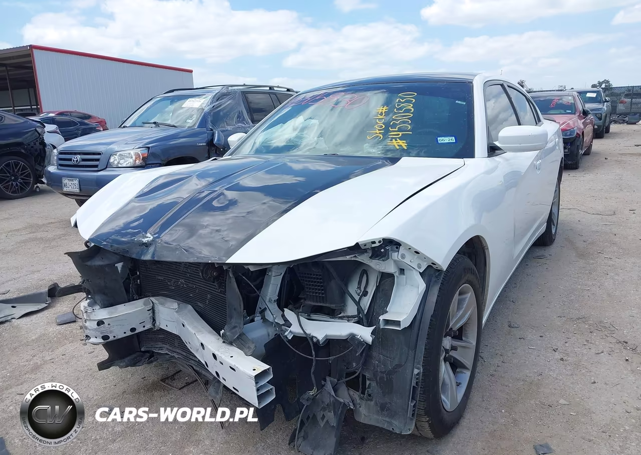 2020 Dodge Charger Police Rwd VIN:2C3CDXAG7LH111395 - 2