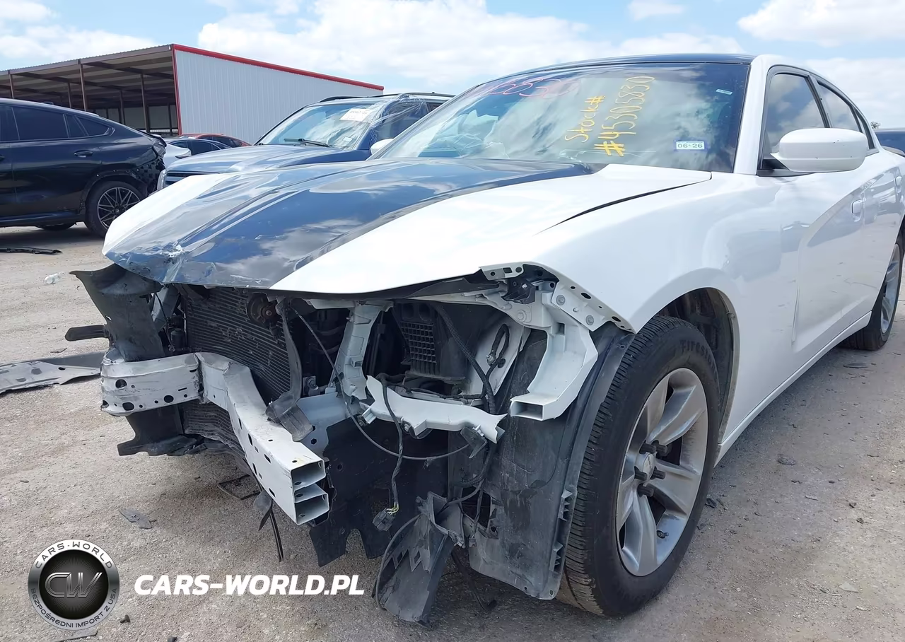 2020 Dodge Charger Police Rwd VIN:2C3CDXAG7LH111395 - 6