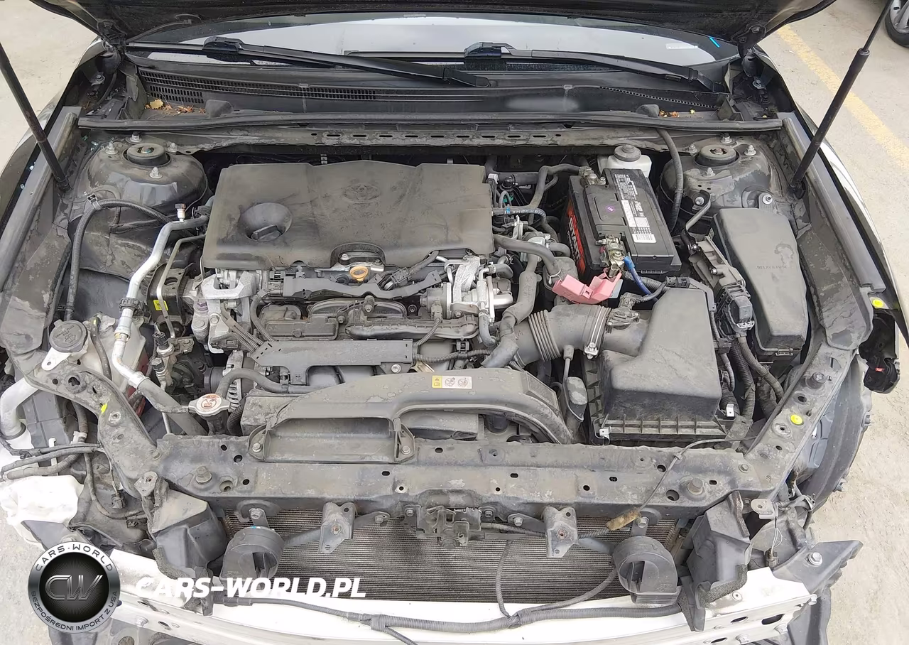 2019 Toyota Camry Se VIN:4T1B11HKXKU710953 - 10