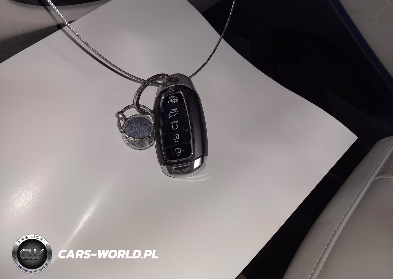 2021 Hyundai Palisade Limited VIN:KM8R5DHE7MU222481 - 11