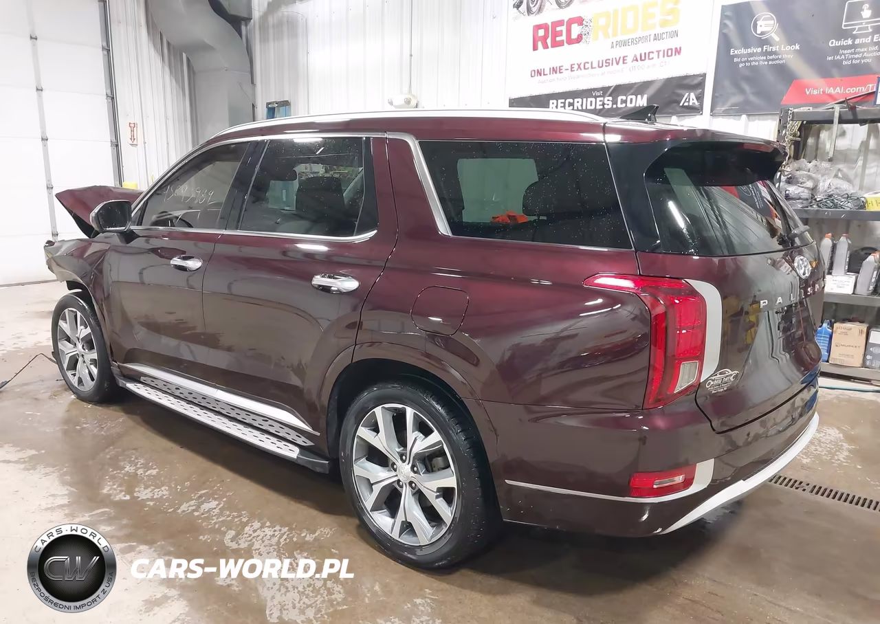 2021 Hyundai Palisade Limited VIN:KM8R5DHE7MU222481 - 3