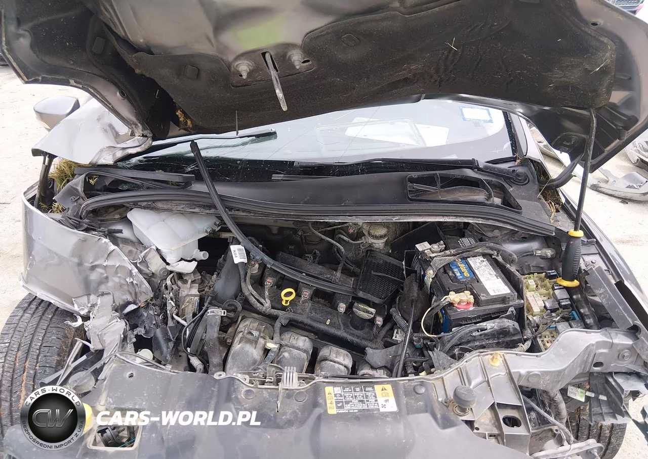 2014 Ford Focus Se VIN:1FADP3F26EL339073 - 10