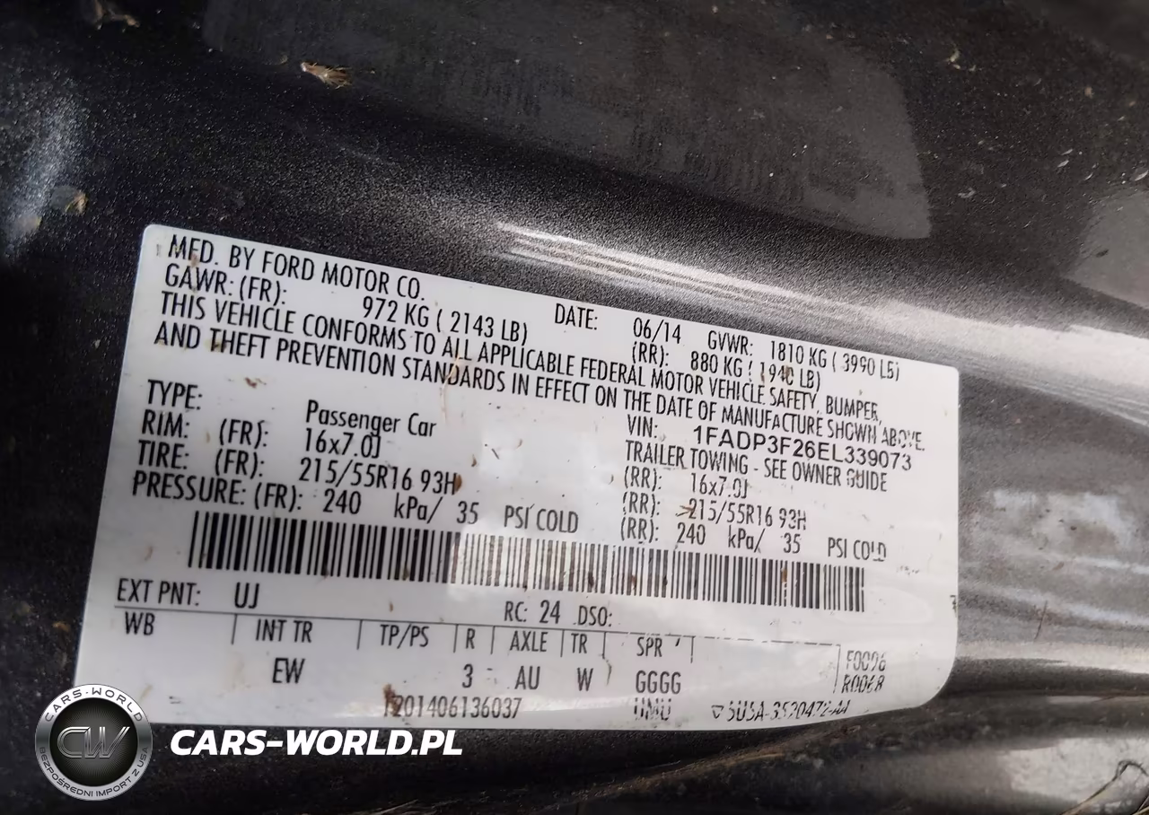 2014 Ford Focus Se VIN:1FADP3F26EL339073 - 9