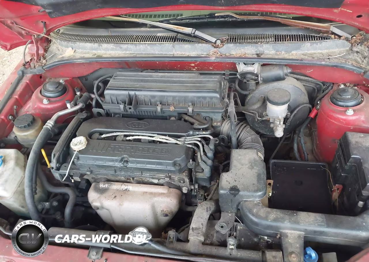 2001 Kia Rio VIN:KNADC123316527242 - 10
