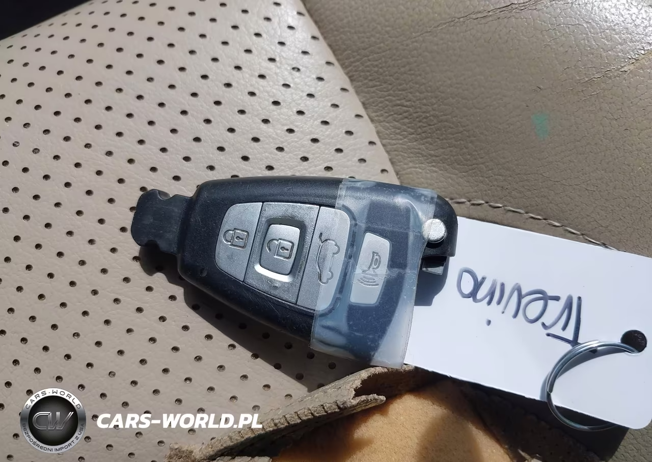 2008 Hyundai Veracruz Gls-Limited-Se VIN:KM8NU13CX8U033996 - 11