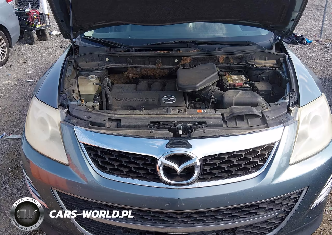 2010 Mazda Cx-9 Grand Touring VIN:JM3TB2MA0A0235769 - 10
