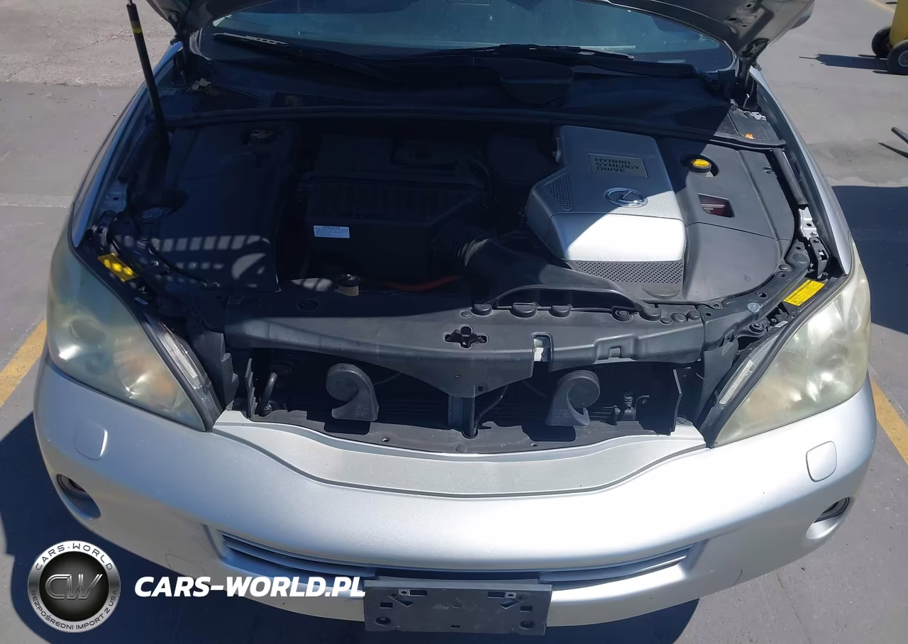 2006 Lexus Rx 400H VIN:JTJHW31U560025888 - 10