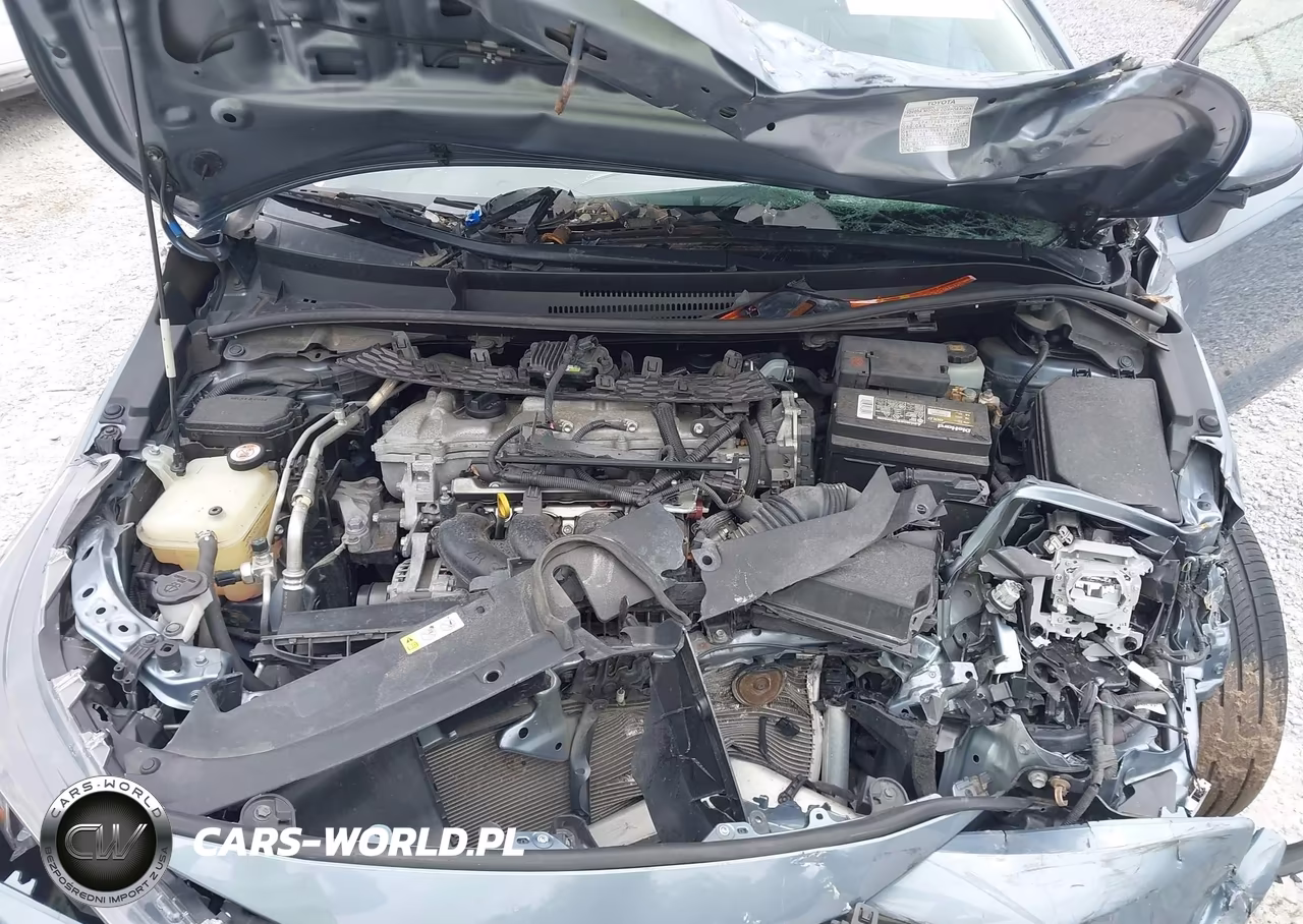 2020 Toyota Corolla Le VIN:JTDEPRAE9LJ031083 - 10