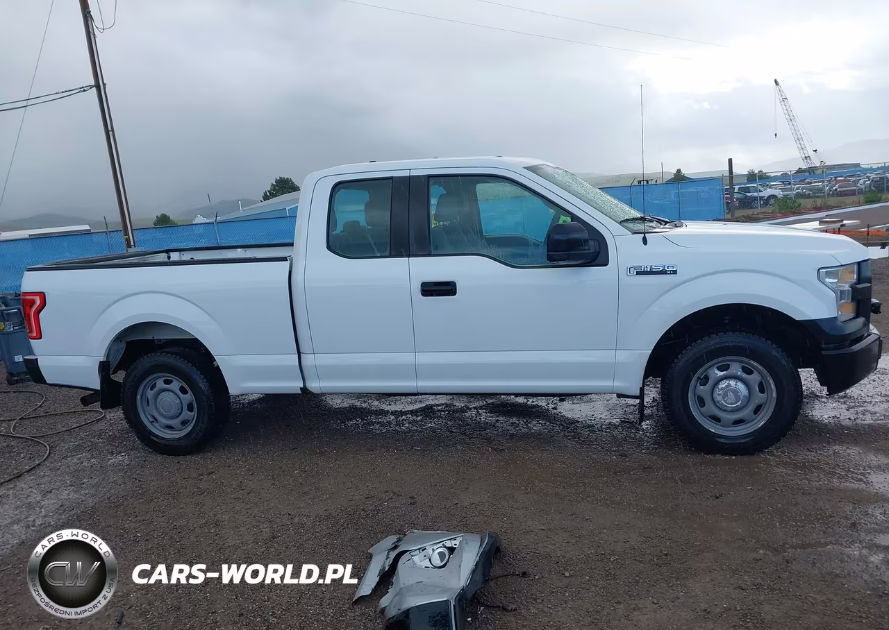 2016 Ford F-150 Xl VIN:1FTEX1CF7GFB30176 - 13
